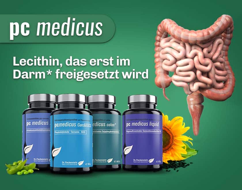 Lecithin erst im Darm freigesetzt Dr Fleckenstein