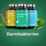 Darmbakterien Nahrungsergaenzung