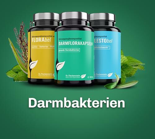 Darmbakterien Nahrungsergaenzung