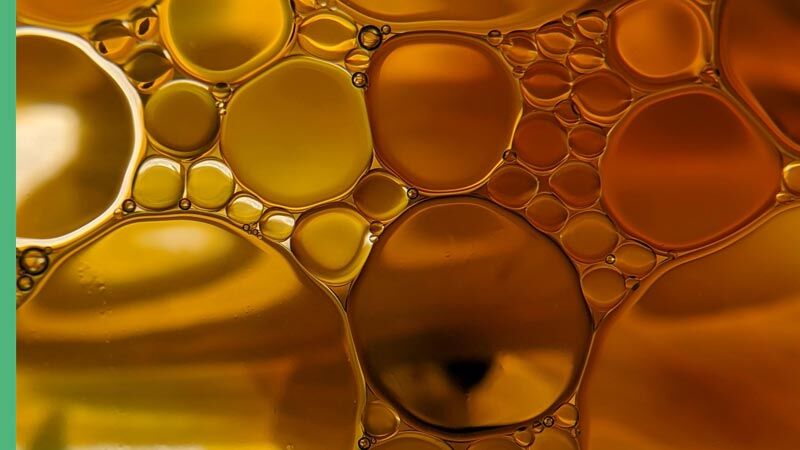 Festes oder flüssiges Lecithin: Wo liegt der Unterschied