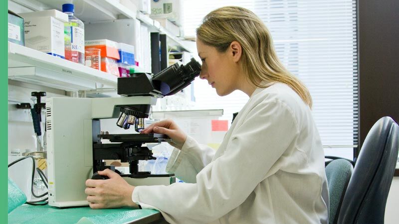 Wissenschaftliche Studien zu den Eigenschaften von Lecithin