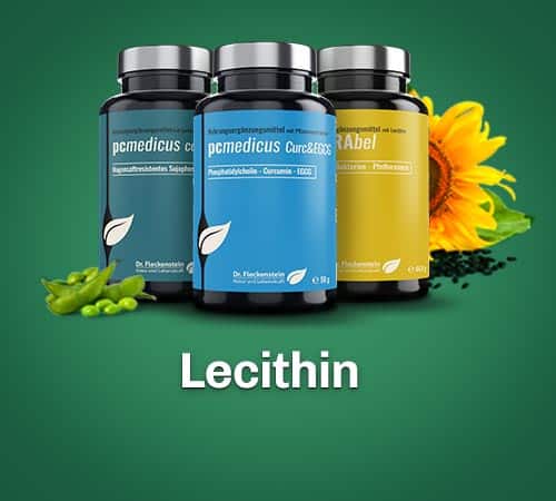 Lecithin Produkte Nahrungsergaenzung