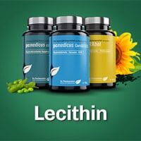Lecithin Produkte Nahrungsergaenzung