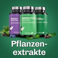 Pflanzenextrakte Nahrungsergaenzung