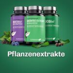 Pflanzenextrakte Nahrungsergaenzung