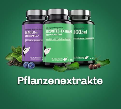 Pflanzenextrakte Nahrungsergaenzung