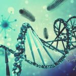 Ultraschwache elektromagnetische Felder regeln die DNA während der Eiweißsynthese.