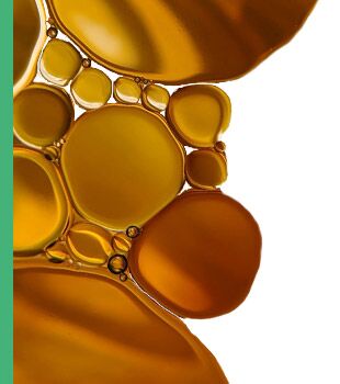 Lecithin und Phosphatidylcholin Dr Fleckenstein